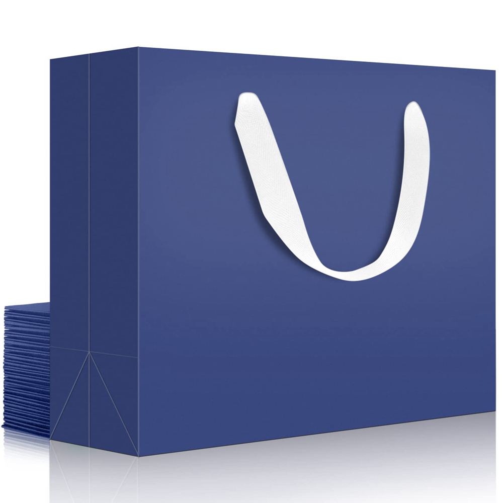 Custom Color Accepted Ribbon Handle Paper Bag for Luxury Clothing Boutique Gifts