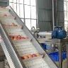 SSS Food Machinery Technology Co., Ltd