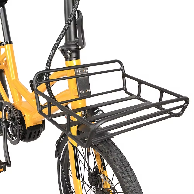 20 Inch Retro Dual 250W Electric Cargo Bike 7 Speed 36V 7.8Ah Lithium Battery