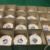 AUTO ROLL BAGS,AUTO FILL BAGS, PRE-OPENED BAGS, AUTOMATED BAGGING PACKAGING, BAGGERS,ACCESSORIES PAC 1