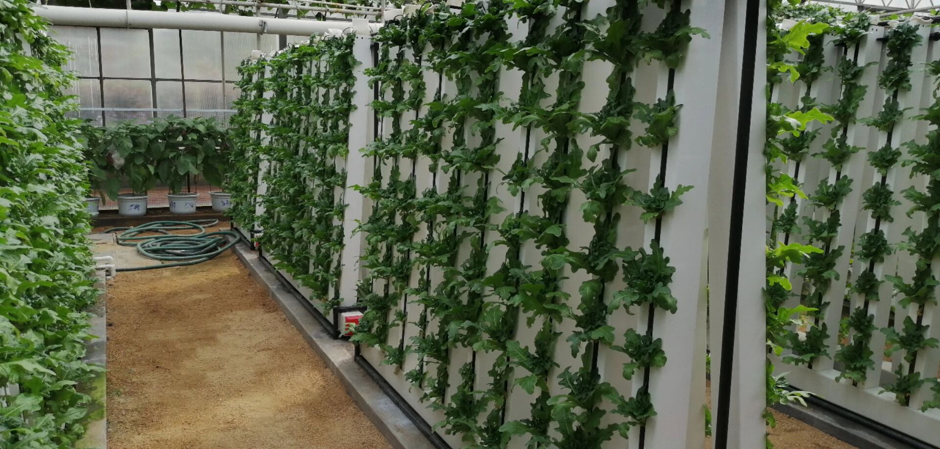 Skyplant Customized NFT Vertical Climate Control Hydroponic Growing Systems