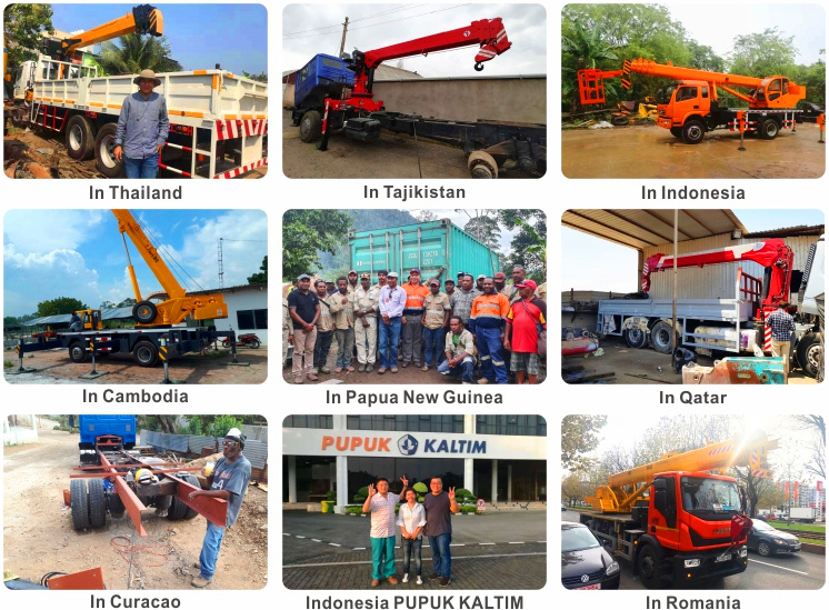 Telescopic Boom Mini Jib Crane Customized 8 Ton Hydraulic Mobile Crane