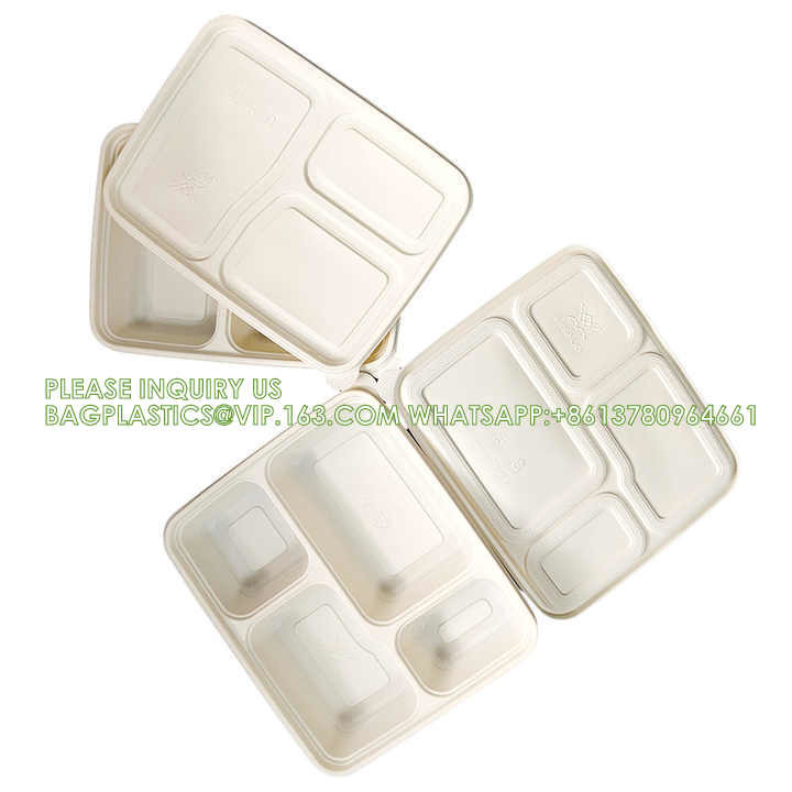 Disposable Biodegradable Sugarcane Bagasse Pulp Food Container Take Away Lunch Box Sugar Cane Food Container