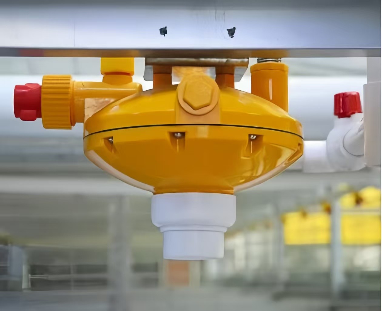Customized Plastic Broiler Cage Equipment Automatic Poultry Breeding Equipment
