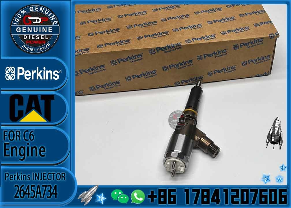 CAT C6.6 injector 306-9380 2645A734 Injection Nozzle 282-0490 2645A709 FOR E312D E313D E320D E321D injector assembly