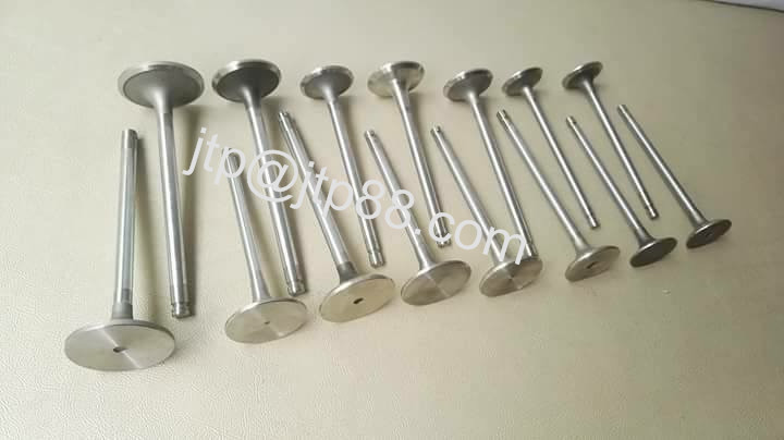 Nissan Gasoline - Engined Subcompact Car MR20 Intake Valve 13202-EA200 / 13201-EN20A