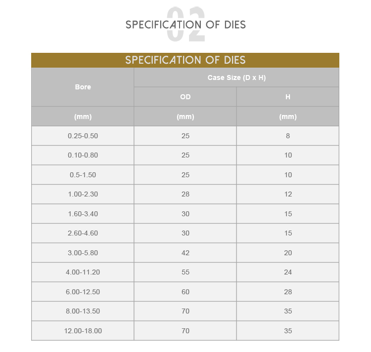 customizable size Tungsten Steel Alloy Two Place Diplopore Mold