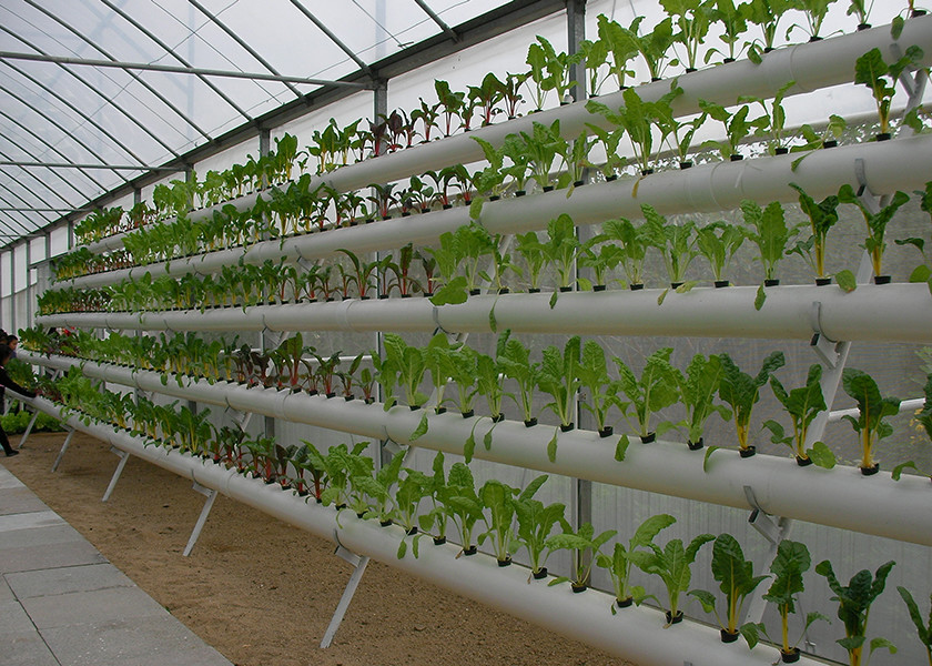 Space Saving Vertical Nft Hydroponic System Eco Friendly Recycles Water Resources