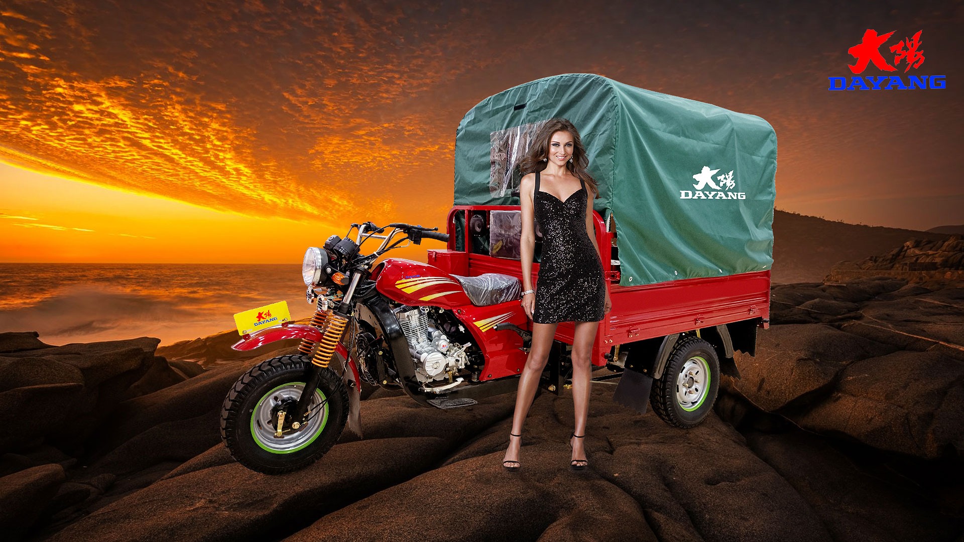 DAYANG Model Prince Cargo Tricycle with Tarp and Fuel Type Gasoline Made in 320 * 80