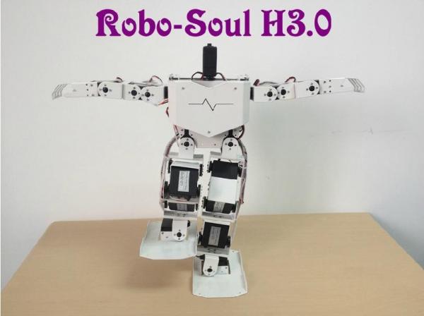 Quality Robotics equipment Large torque digital servo Support 17 DOF Humanoid robot for sale
