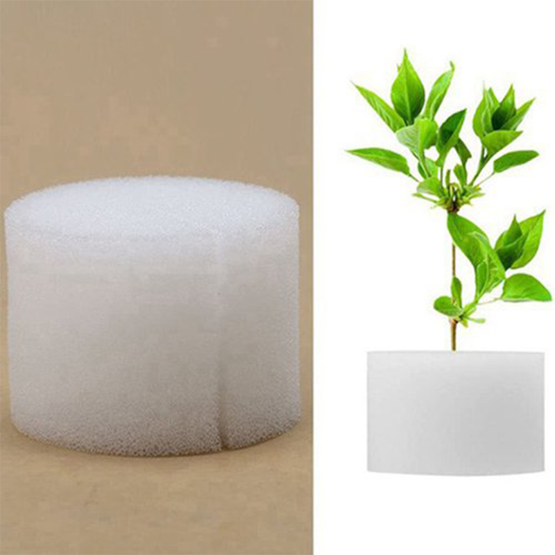 Small Size Injection Molded Plastic PP Net Pots for Hydroponic Greenhouse Cultivation