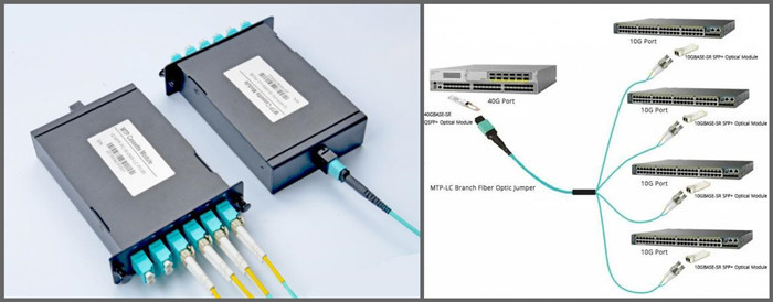 LC/UPC Duplex 12 Fiber LGX Style MPO Cassette
