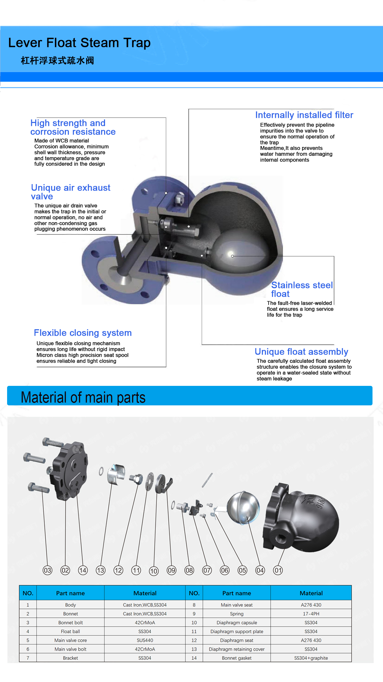Durable Inverted Steam Trap Valve with Customized OBM Support and Ductile Iron Body