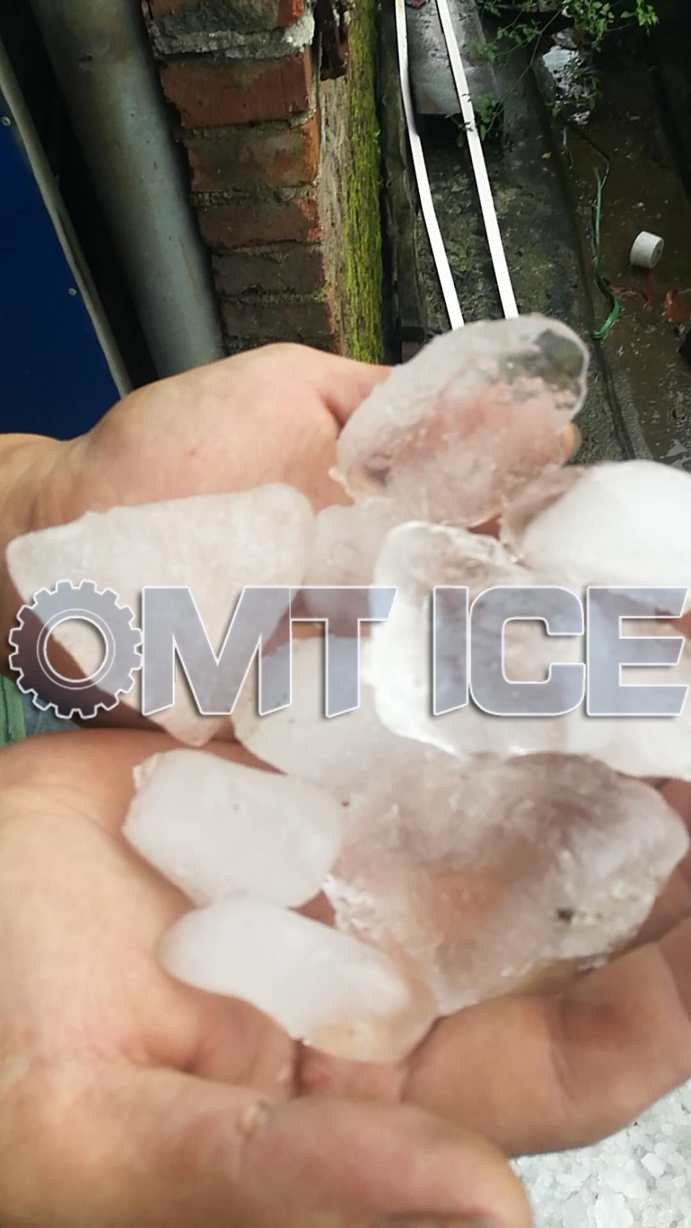 Cooling Fish Industrial Ice Crusher Machine Stainless Steel Commercial Ice Crusher