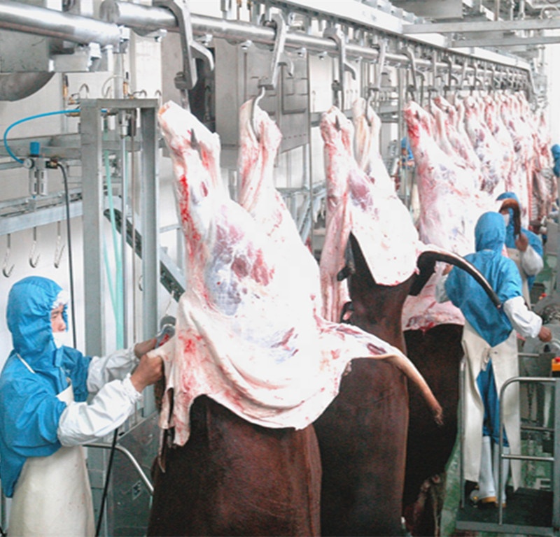 ISO9001 CE Slaughterhouse Cow Machine Stainless Steel 304 Cow Feet Hair Removing Machine