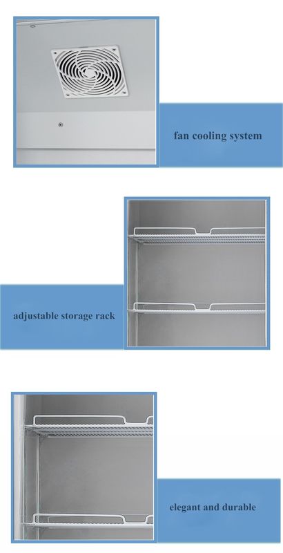 High Efficiency Commercial 6 Glass Door Refrigerator Fan Cooling Dual Compressor