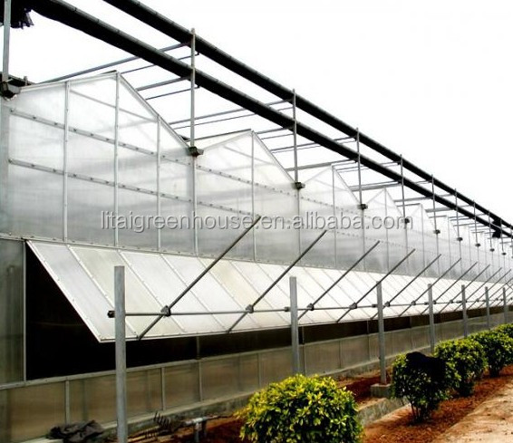 Improve Ventilation in Multi-Span Agricultural Greenhouses with Rack and Pinion System