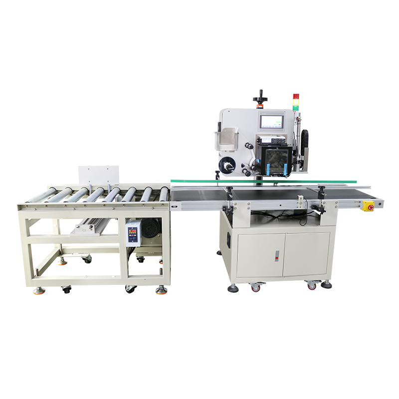 Video Outgoing-Inspection Provided Carton Box Labeller for Flat Position Labeling