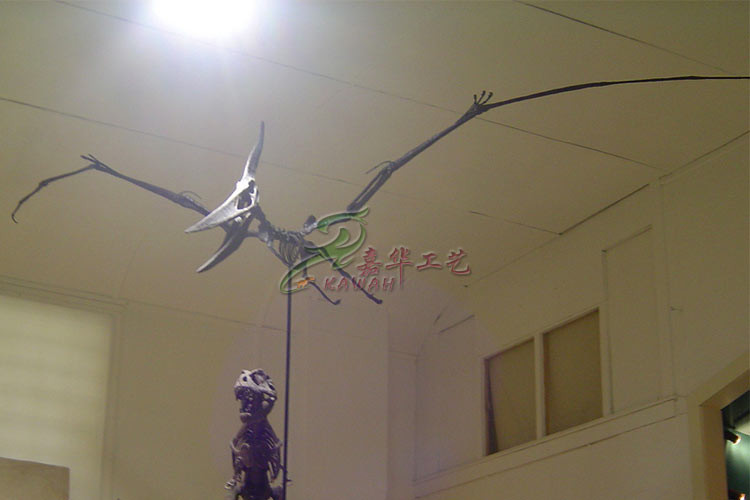 Full Size Fiberglass Dinosaur Fossil Model , Life Like Complete Dinosaur Bone Model