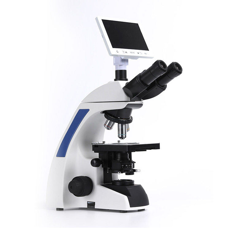 Three-Eye Hinged Observation Tube Microscope for Bacterial Observation in Science Labs