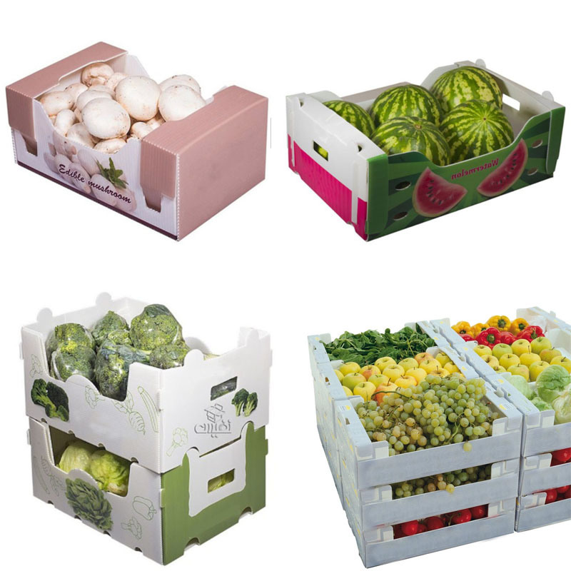 Fruit Corrugated Plastic Packaging Boxes Environmental Protection