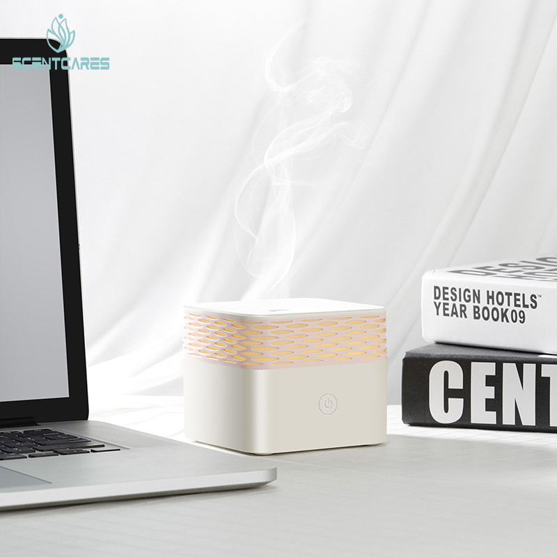 LED Warm White 100ML Essential Oil Diffuser