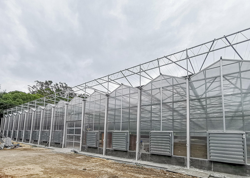 Polycarbonate Multi Span Greenhouse For Hot Climate 12 Meter Width