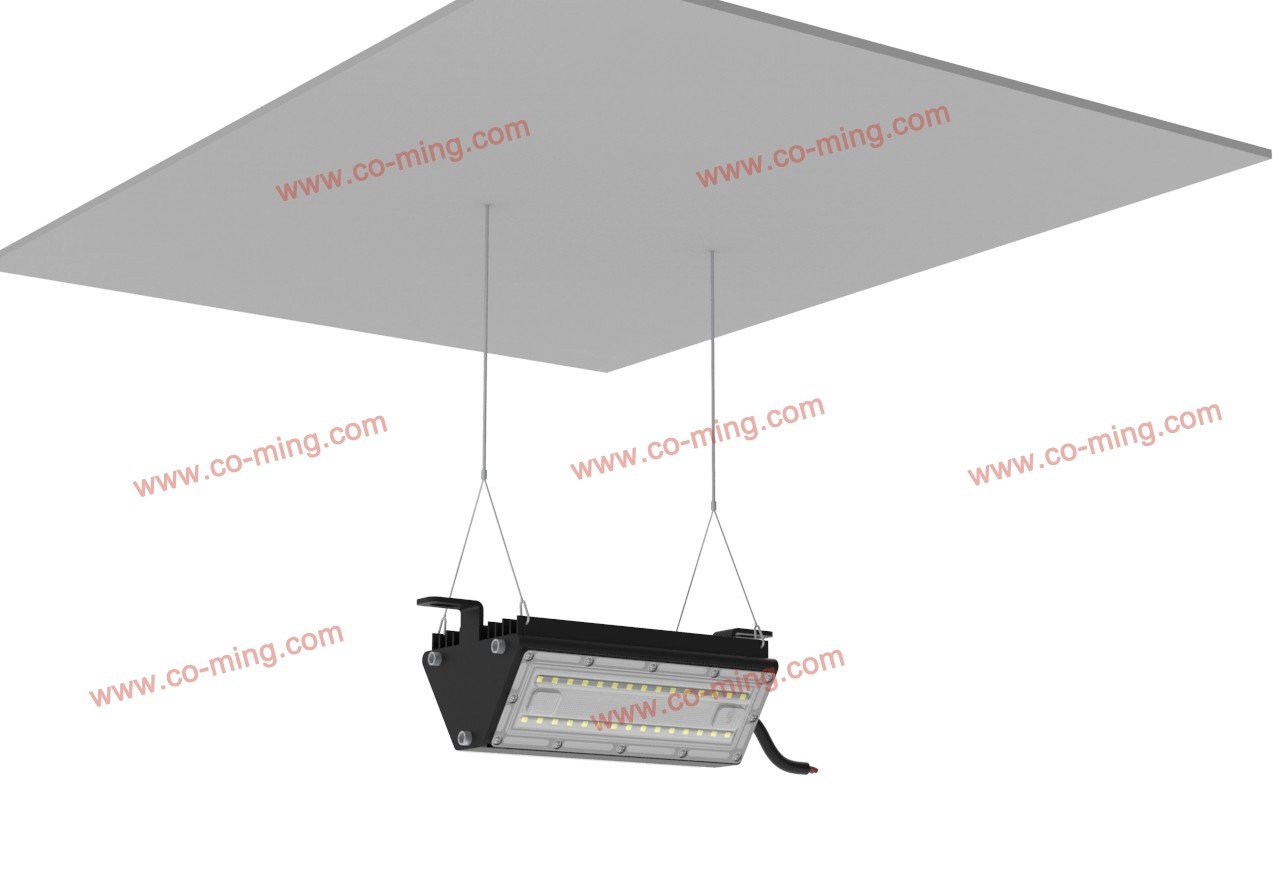 Outdoor Industrial Led Bulkhead Lights Ip66 Ik10 2700-6500K B300 30W 4500lm/w