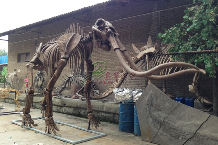 Sunproof Fiberglass Dinosaur Skeleton For Large Entertainment Venue Decoration