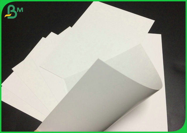 Food Contact Safe 300GSM 325GSM 350GSM C1S Paperboard For Paper Box 