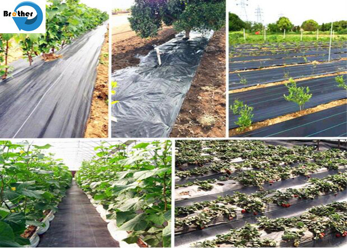 3.2m Agricultural Garden Plastic Woven Weed Control Mat Ground Cover Weed Barrier Fabric