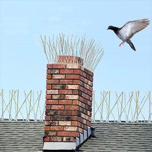 Spikes for birds animal stainless steel bird spikes window sills