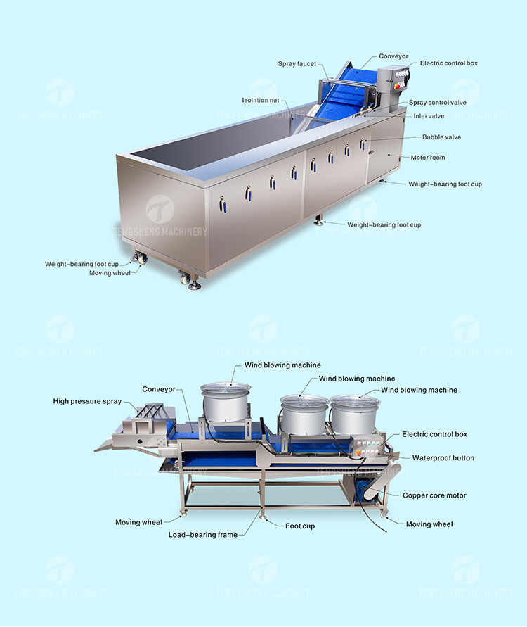 1500KG/H Fruit And Vegetable Processing Line cleaning Sorting Machine