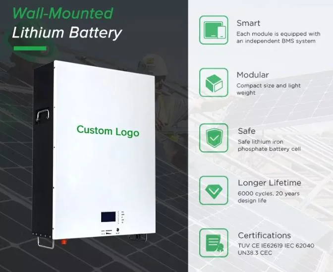 PV Solar Energy Storage Home Power Ess Battery 48V 51.2V 100ah 150ah 200ah 300ah 5kw 10kw 20kw 30kw 100ah 200ah 300ah 400ah LiFePO4 Lithium Battery
