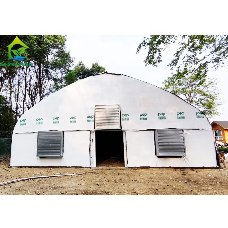 Light Dep External Blackout Greenhouse White Black Film Rolling Hot Galvanized