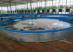 China Galvanized Sheet Aquariums Tarpaulin Fish Breeding Tank 30M Diameter Large on sale