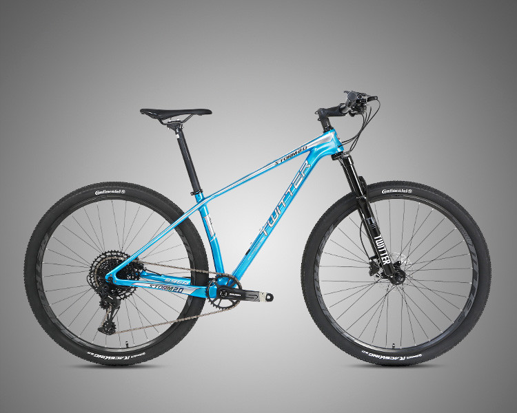 29er Carbon Fiber Trail Bike RAM SX EAGLE 12 Speed Groupset XC