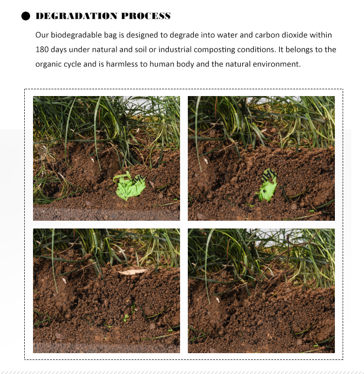 OEM Accepted Eco Friendly Biodegradable Pet Bags for Dog Poop Waste Food Package