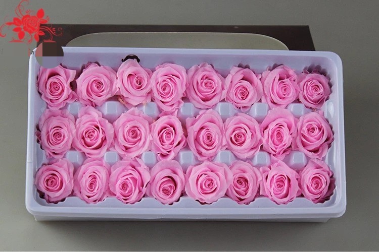 Wholesale real preserved rose stabilized natural preserved fresh flowers for Valentines day