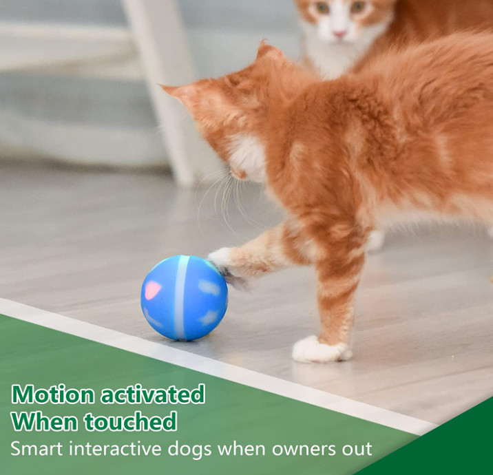self moving dog ball