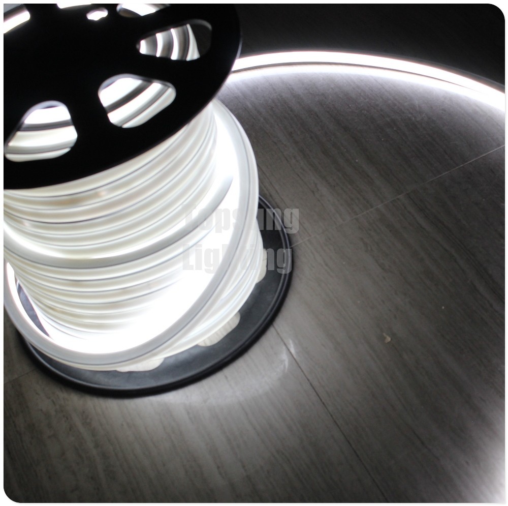 China DC 24V white led neon flex 16x16mm square shape flat neon rope IP68