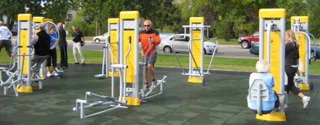Factory Cheap Price Outdoor Gym Equipment for Playground Park