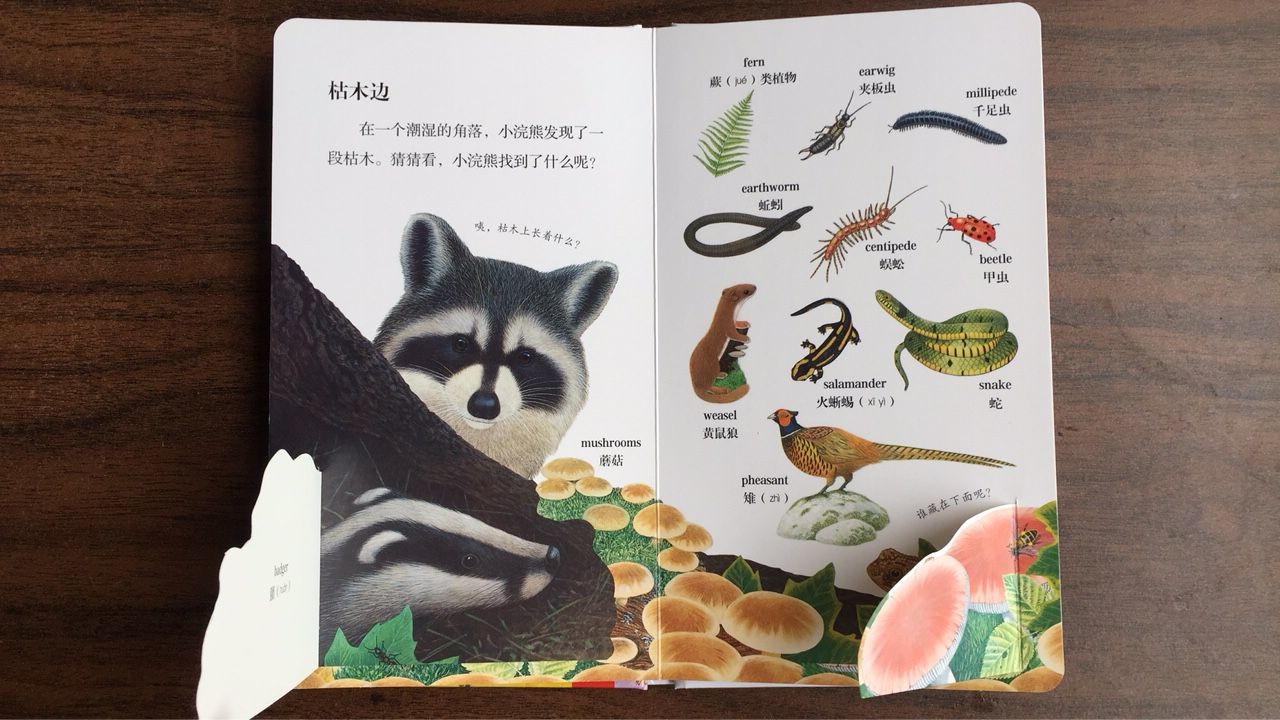 Fun Coloring Learning Baby Board Book Printing Customized Size