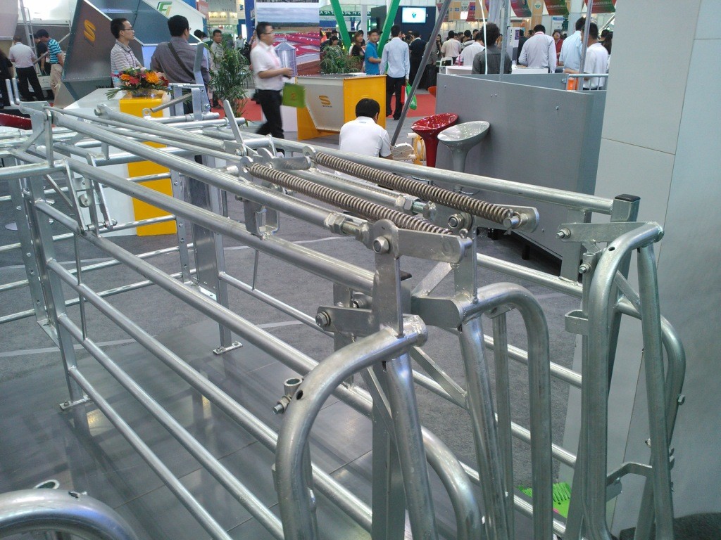 Silver White Color Pig Gestation Crates Light Structure All Size Available