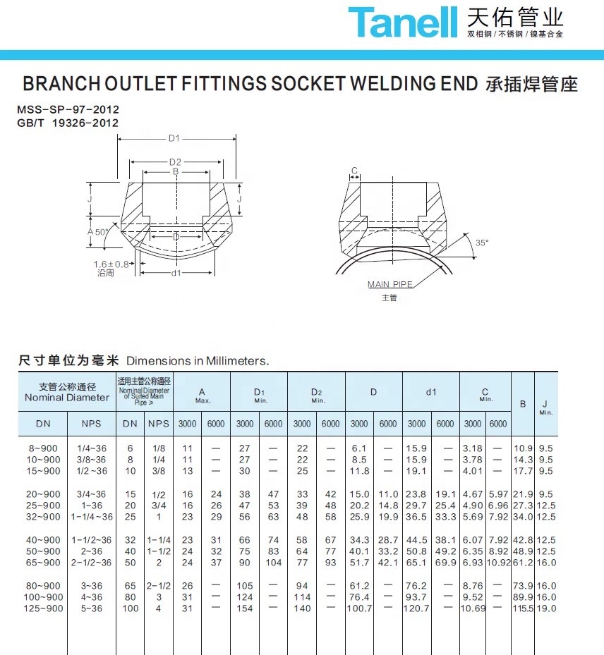 1/4''--4.0'' Stainless Steel 316L ASTM A105 Class 3000 Carbon Steel Pipe Fitting