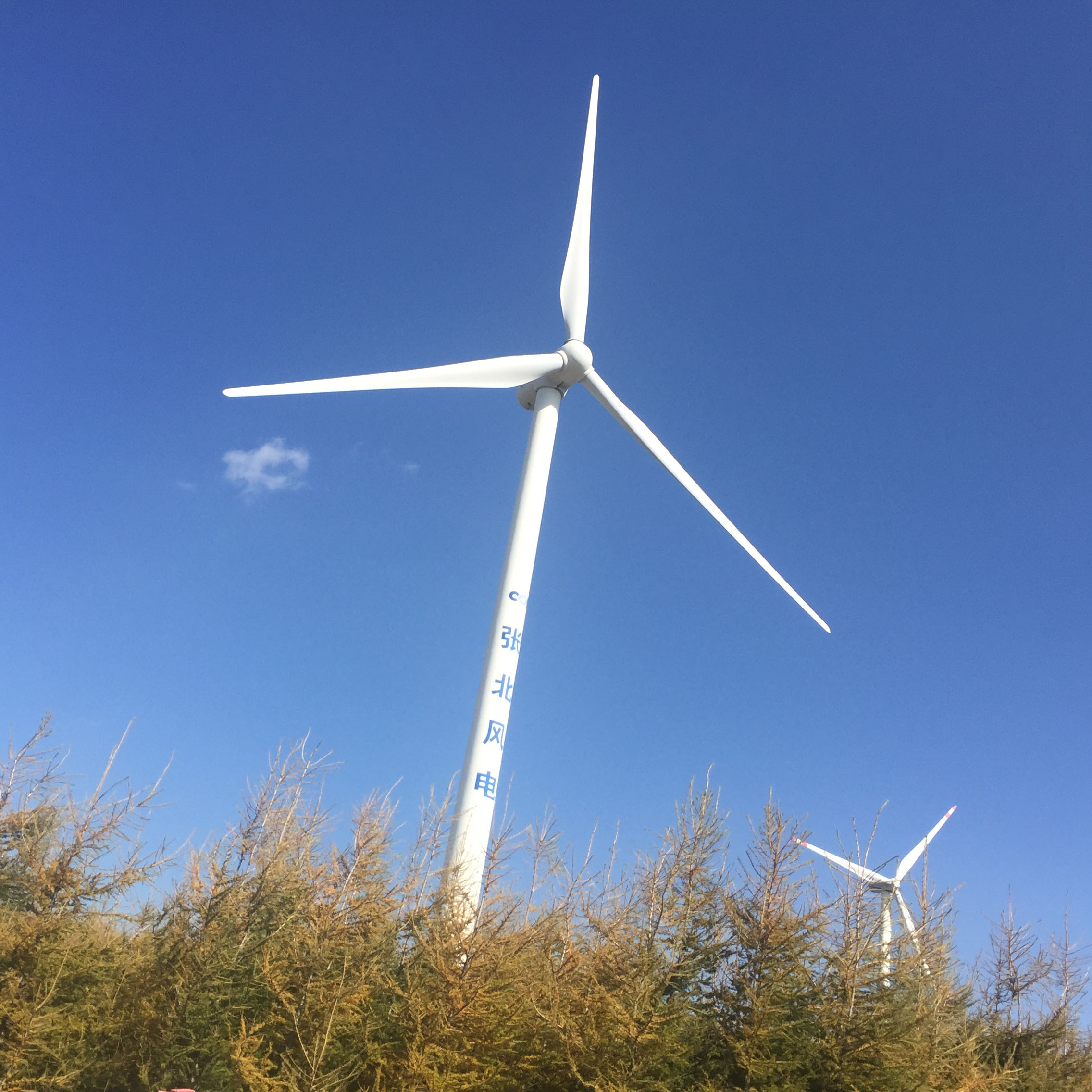 Customized ISO9001 Certified Wind Driven Generator for Environmentally Friendly Power