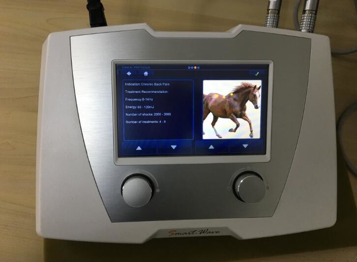 ESWT Equine Shockwave Machine 1HZ - 22HZ Shockwave Machine For Vet Clinic