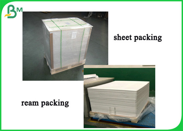 41gram 50 gram Printable Vellum Translucent Paper Roll With Good Quality