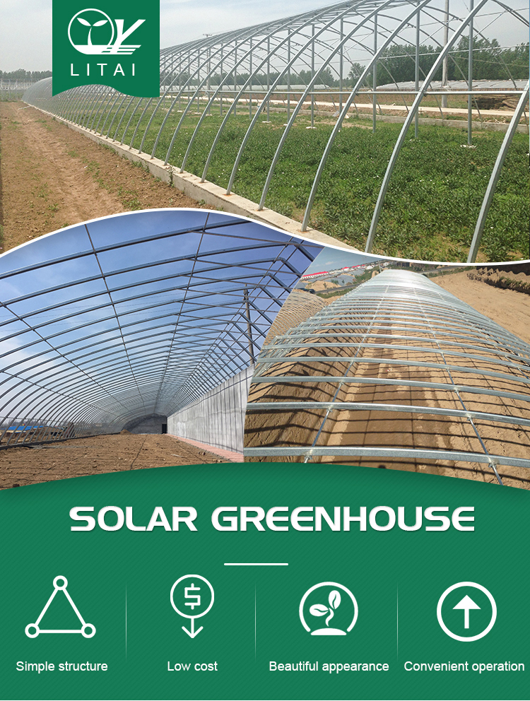 Double Layer Assembly Solar Greenhouse for Vegetable Flower and Tomato Instruction