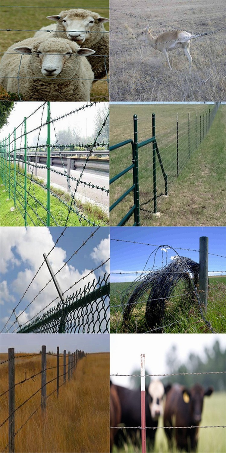Impact Resistant PVC Coated Galvanized Barbed Wire Mesh Fencing With Custom Lengths